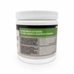 Green Lipped Mussels - Image 2