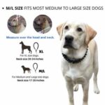 Only Leash™ - Image 2