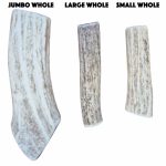 Elk Antlers - Whole - Image 2