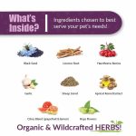 HWF (Natural Heartworm Prevention and Treatment) - Image 2