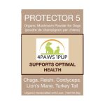 Protector 5 100% Mushroom Powder