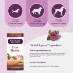 Life Cell Support - Image 3