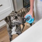 Toppl Treat Toy - West Paw - Image 5