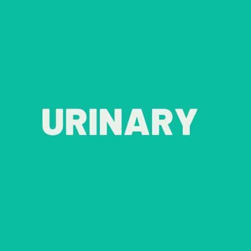 Urinary Support