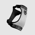 Canada Pooch - The Everything Harness - Image 2