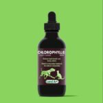 Chlorophyll - Land Art