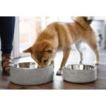 Concrete Bowl - Image 2