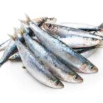 Sardines (IronWillRaw) - Image 2
