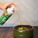 Thrive Hemp Seed Oil Dog Omega Supplement