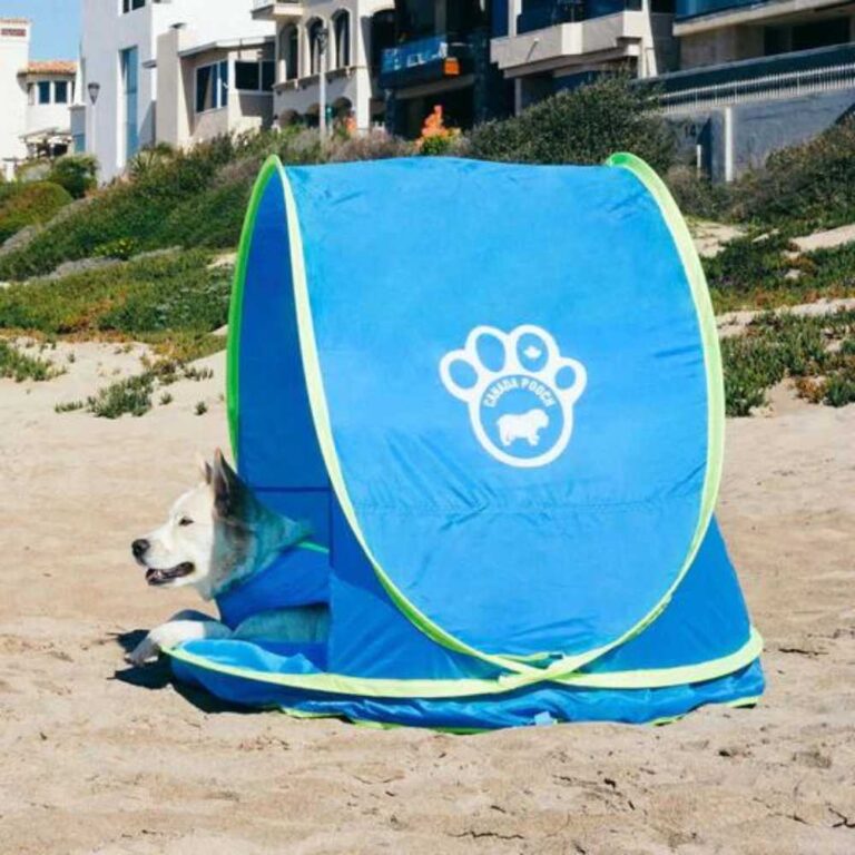 Chill Seeker Cooling Station -  2 in 1 - Splash Pad - Canada Pooch - Image 2