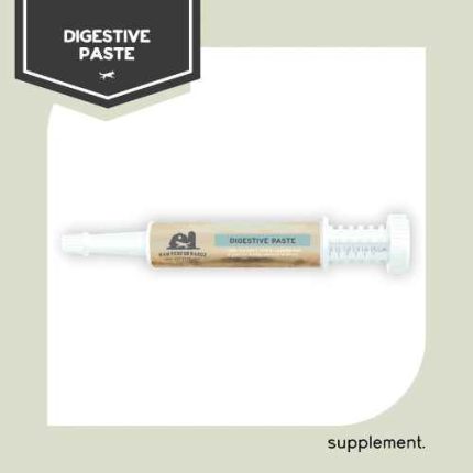 Digestive Paste - Raw Performance, probiotics, digest, paste