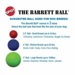 The Barrett Ball - Virtually Indestructible Rubber Ball Toy - Image 3