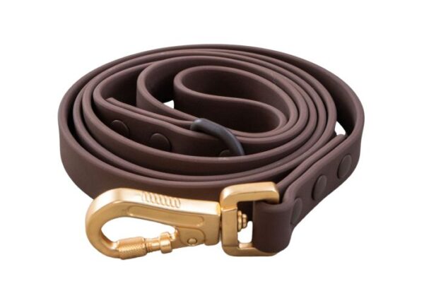 DexyPaws Espresso Leash Waterproof Dog Leash