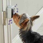 Talking Pet Doorbell - Hunger for Words - Image 2