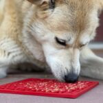 Sodapup Tree Design "Peace" eMat Enrichment Lick Mat dog licking mat 2