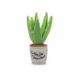 Blooming Buddies Aloe You Vera Plant Toy From Pet Play San Fransisco