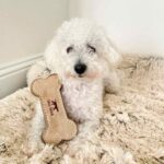 Tall Tails Natural Leather Bone Toy Dog Image