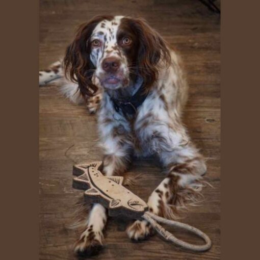 Tall Tails Natural Leather Trout Tug Toy Dog Image