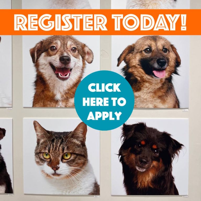 PET ADOPTION PROGRAM register link