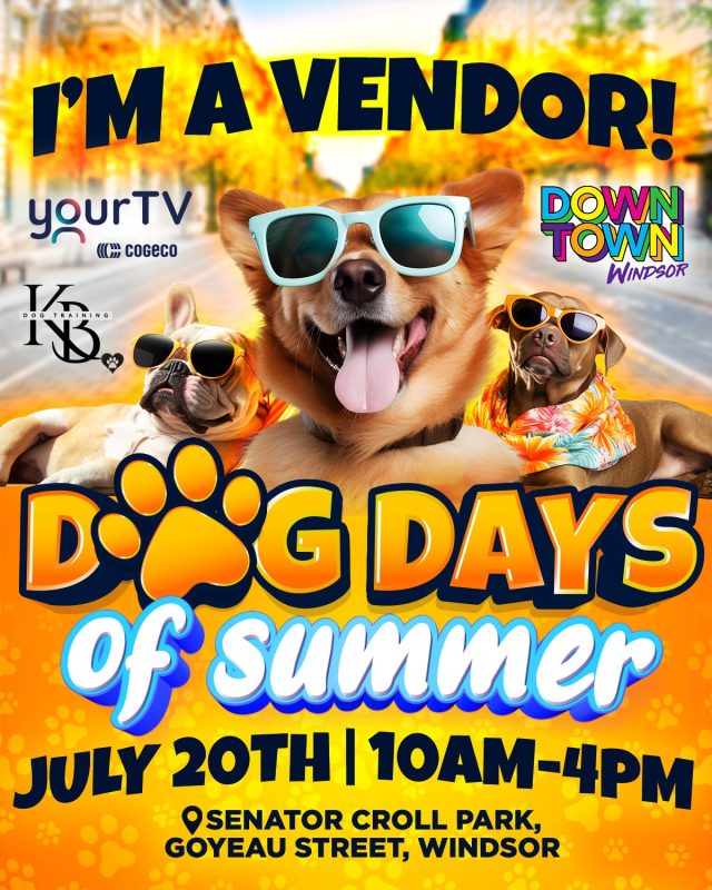 I'm A Vendor Windsor Dog Days of Summer