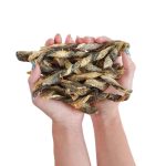Walleye Chews - Image 2
