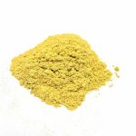 Digest Powder - 4Paws1Pup Dog and Cat supplement digestive aid