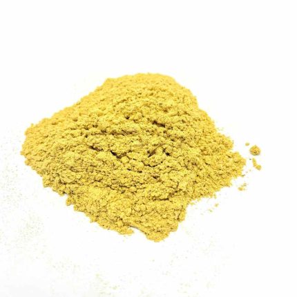 Digest Powder - 4Paws1Pup Dog and Cat supplement digestive aid