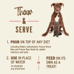 Primal Bone Broth Feeding Hydration for Dogs and Cats