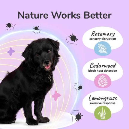 Kin&Kind Flea Tick Lemongrass Shampoo, Shampoo, Flea, Tick, Lemongrass, Kin&Kind, Dog Shampoo, Cat Shampoo