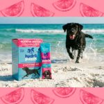 Hydropooch Hydration Aid, Hydration, Electrolyte, Hydropooch, Mix, Rehydration, Summer, Heat, Electrolyte Mix, Daily Hydration, Picky Drinkers, Topper